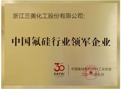 Leading enterprise in China's fluorosilicone industry